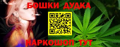 мдпв Вышний Волочёк