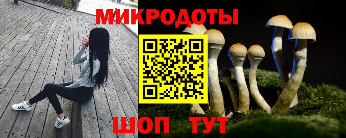 Белгород  Псилоцибиновые грибы MAGIC MUSHROOMS  Вход с VPN 